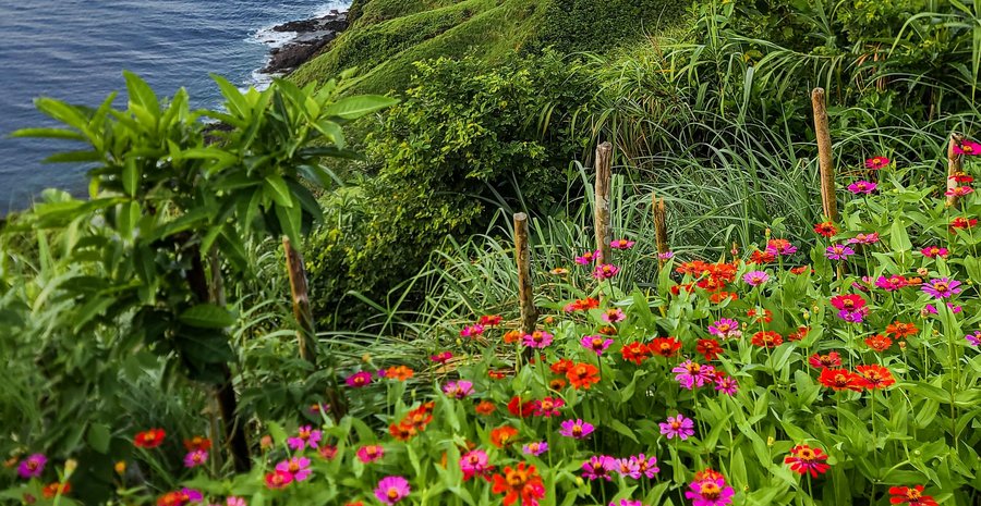 Caribbean hillside above turquoise waters — the view from Elara Hills